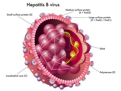 Hepatitis B: penyebab, gejala dan pengobatan