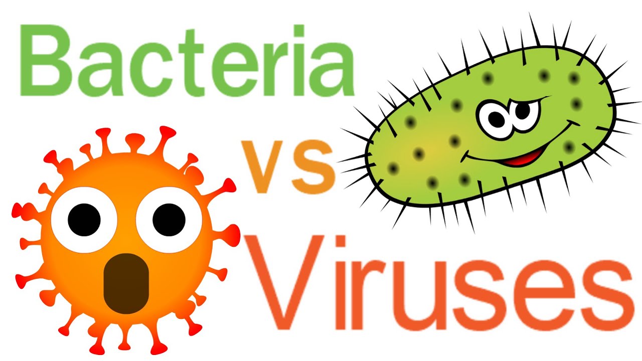 Perbedaan antara infeksi bakteri dan virus